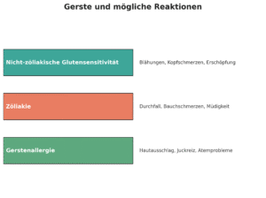 Gerste und mögliche Allergien